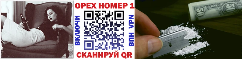 Cocaine Fish Scale  сайты даркнета формула  Чкаловск 